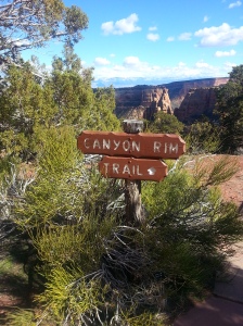 The trailhead for our hike at Colorado National Monument.